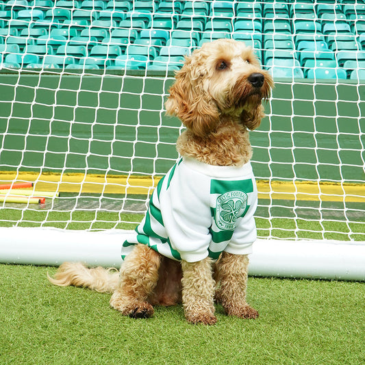 Celtic Hooped Dog Jumper